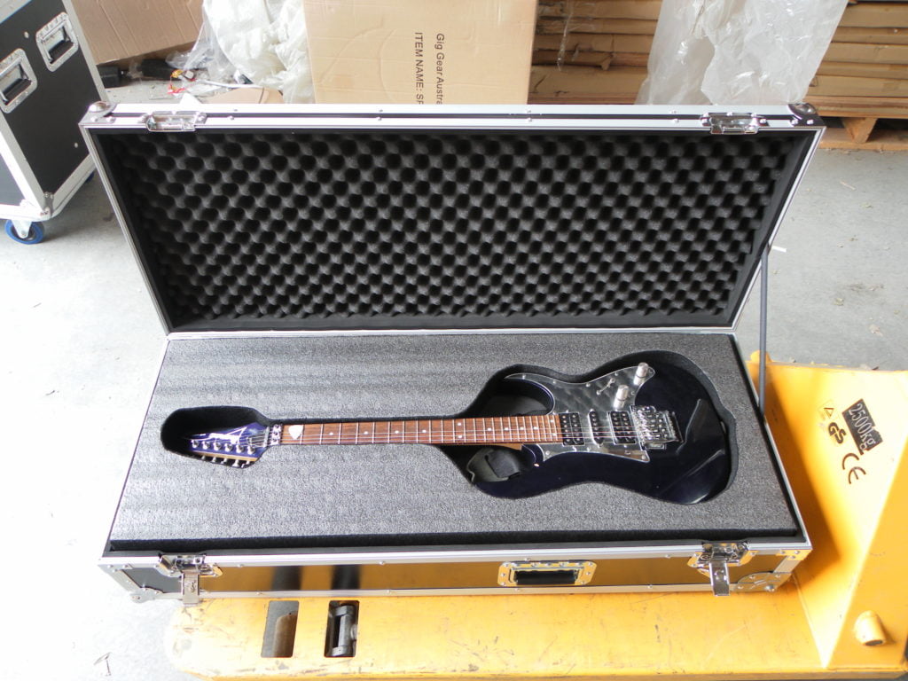 Custom Double Electric Guitar Case